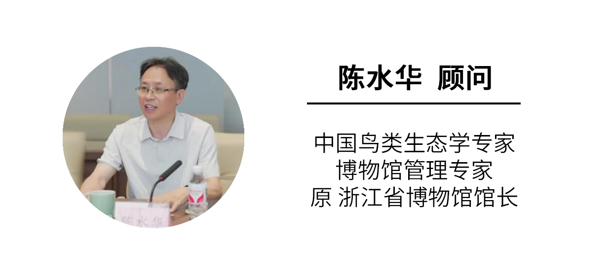 顾问4：陈水华（中国鸟类生态学专家和博物馆管理专家，原浙江省博物馆馆
